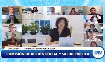 LA MINISTRA DE SALUD EXPUSO ANTE DIPUTADOS SOBRE LA CAMPAÑA DE VACUNACIÓN