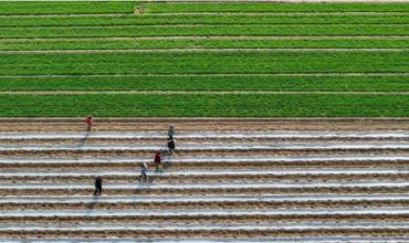 La agricultura brasileña es "la más deseada del mundo" como alternativa a Estados Unidos