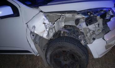 Una camioneta chocó contra una vaca en Ruta 79: el conductor resultó ileso