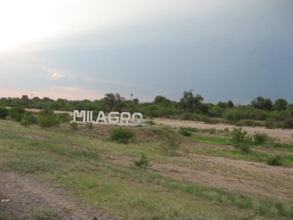 308529_1750624630.jpg