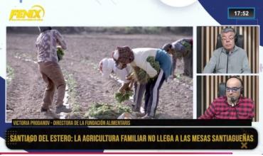  Agricultura familiar, empleo y comida real: el caso de Santiago del Estero