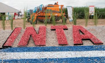 El Gobierno eliminó la Dirección Nacional del INTA