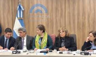 Controles a laboratorios de fentanilo: la Cámara de Diputados busca respuestas