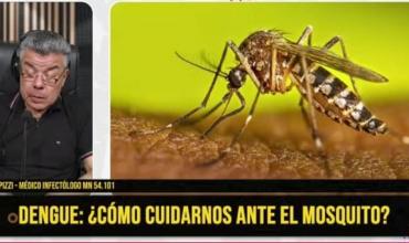 “El dengue llegó para quedarse: el mosquito ya se instaló en todo el país”, advirtió Hugo Pizzi