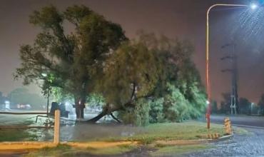 El Servicio Meteorológico anuncia tormentas para Chamical