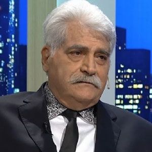 Recortes para el Gato