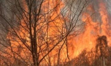 Córdoba: combaten tres focos de incendio en una jornada con fuertes vientos y sin lluvias