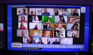 El Senado tratará mañana el proyecto de Ley de Interrupción Legal del Embarazo