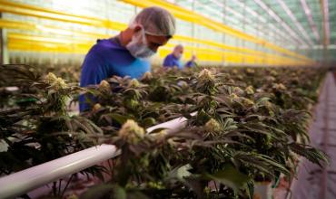 EEUU: el estado de Nueva Jersey legalizó el consumo recreativo de marihuana