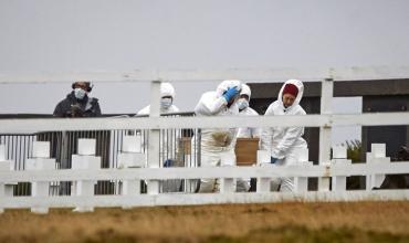 Malvinas. Cómo hallaron la tumba donde habría restos de soldados argentinos