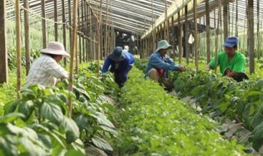 En La Rioja cierran el “Instituto de Agricultura Familiar, Campesina e Indígena”: 30 cargos y sueldos de 600 mil pesos 