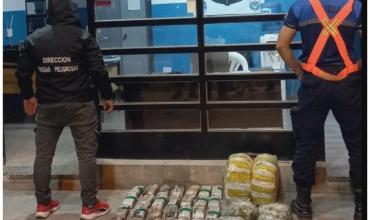 Catamarca: Incautan más de 24 kilos de coca a tres riojanos en un control policial 