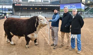 “El Escocés” inauguró la 137ª Exposición Rural de Palermo como primer animal en ingresar al predio