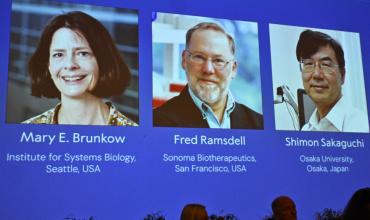 El premio Nobel de Medicina 2025 fue otorgado a Mary Brunkow, Fred Ramsdell y Shimon Sakaguchi: qué descubrieron