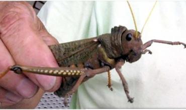 <br />
<b>Notice</b>:  Undefined index: url in <b>/var/www/fenix951/public/categoria.php</b> on line <b>97</b><br />
