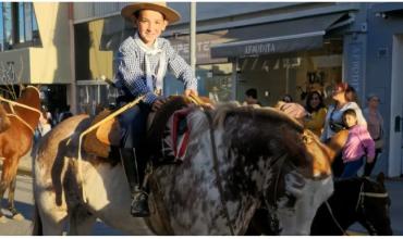 Un nene de 9 años iba a caballo, pisó un cable pelado y el animal murió: "Dio la vida por mi"