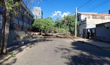 Conductor ebrio chocó contra un árbol caído por los fuertes vientos en La Rioja