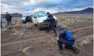 Productores de Chubut denuncian una matanza de guanacos en sus campos: “Los asesinan brutalmente, sin escrúpulos”