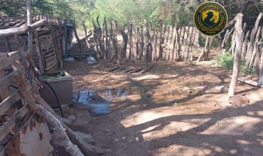 Chepes: Robo de herramientas y dos chachitos en zona rural