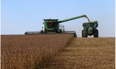 Soja para arriba y tasas para abajo: la economía recibe más viento de cola y crece la expectativa para 2026