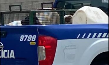 Córdoba: tres pitbulls fueron soltados por su dueño y atacaron salvajemente a un niño