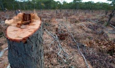 Ingeniero advierte sobre la deforestación en Ulapes y las consecuencias en el clima