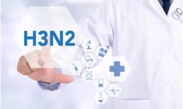 Alerta por la "gripe K" A H3N2: cómo podría impactar en Argentina y cómo prevenir el contagio