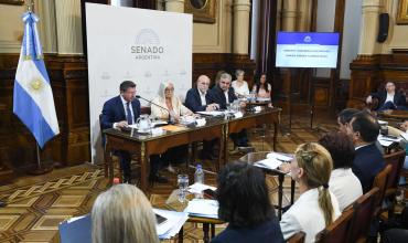 El Senado dictaminó a favor del proyecto “Inocencia Fiscal" y se debatirá el 26 de diciembre