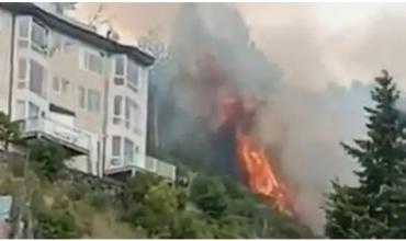 Alarma en Bariloche: un incendio forestal se propagó cerca de un sanatorio y lo evacuaron