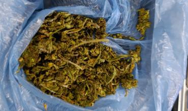 Secuestraron estupefacientes ocultos entre las prendas de un pasajero en la ruta 141