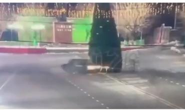 Insólito: un conductor yihadista derribó un árbol de Navidad gigante y siguió camino