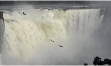 Nuevo récord: el Parque Nacional Iguazú alcanzó el millón y medio de visitantes anuales