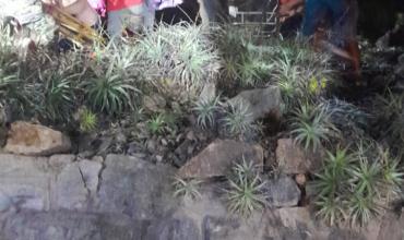 Motociclistas desbarrancaron en Ruta Provincial 75 y debieron ser rescatados