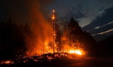 Chubut ya perdió 22 mil hectáreas por los incendios y advierten que “los bosques nativos están desapareciendo”