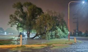 Chamical: las lluvias fueron escasas en la ciudad y más abundantes en la zona rural