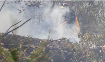 Mientras sigue el combate a los incendios forestales en la Patagonia, el Gobierno intervino el Parque Nacional Los Alerces