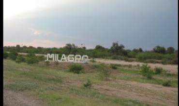 Denuncian el robo de una motocicleta en Milagro