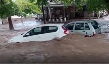 Caos en Mendoza: miles de usuarios sin luz y rescates por un fuerte temporal