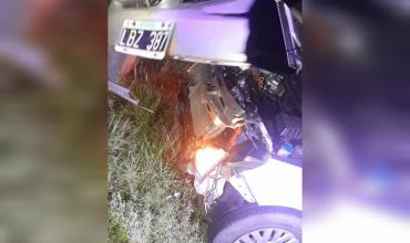 Chañar: Choque contra animales sueltos en Ruta 38 dejó importantes daños materiales