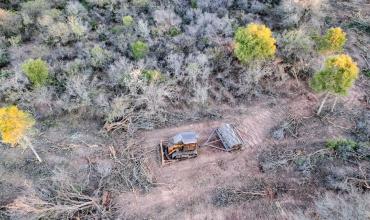 Entre incendios y desmontes, el norte del país perdió más de 200 mil hectáreas de bosque: 40% más que en 2024