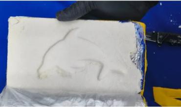 El olfato de una perra detectó 14 kilos de cocaína ocultos dentro de un micro en Santiago del Estero