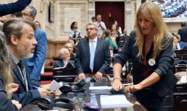 La Libertad Avanza pidió la expulsión de la diputada K que desenchufó cables para boicotear la sesión de la reforma laboral