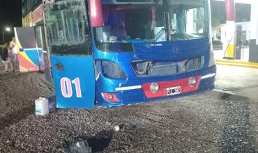 Colectivo colisionó con un caballo sobre Ruta Nacional 79