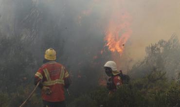 Chubut: detectaron tres nuevos focos de incendio en el parque nacional Los Alerces