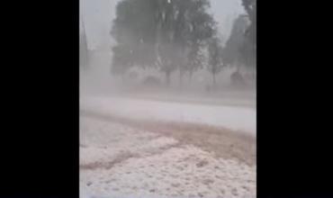 Marina, productora de Campanas: “Es irreversible los daños que ha ocasionado”