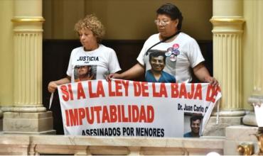 El Senado aprobó la baja de imputabilidad de 16 a 14 años