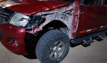 Conductor chileno chocó con un asno en Villa Castelli