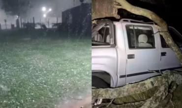 Temporal con granizo y ráfagas de más de 70 km/h azotó La Pampa: árboles caídos, autos dañados y cortes de luz