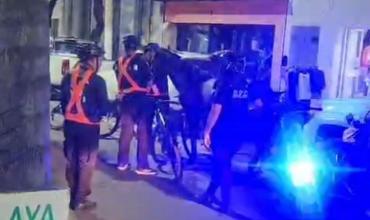 Capturaron un caballo suelto que circulaba por avenida Rivadavia