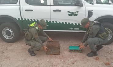 La Rioja: Secuestran hojas de coca y aves silvestres en operativos de control 